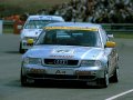 Frank Biela @ Thruxton, 1996